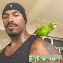 Adam518, 19851231, Dallas, Texas, United States