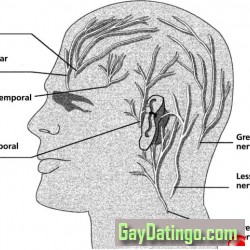 Abdul696, 19980130, Faisalābād, Punjab, Pakistan Abdul696, 19980130, Faisalābād, Punjab, Pakistan