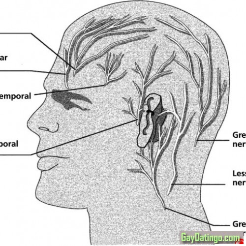 Abdul696, 19980130, Faisalābād, Punjab, Pakistan