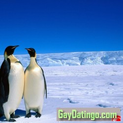 Kamran, 19801104, Karāchi, Sind, Pakistan Kamran, 19801104, Karāchi, Sind, Pakistan