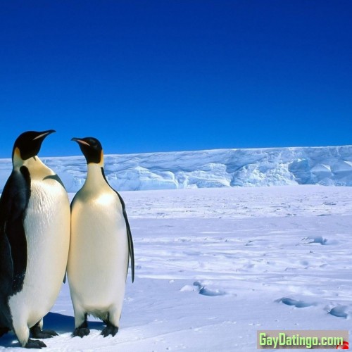 Kamran, 19801104, Karāchi, Sind, Pakistan