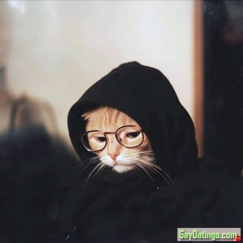 Shan, 20001224, Santa Monica, California, United States